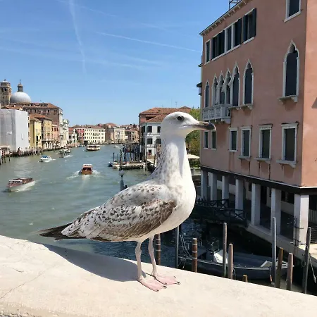 Rialto Regina Studium Apartment Venice Exterior photo