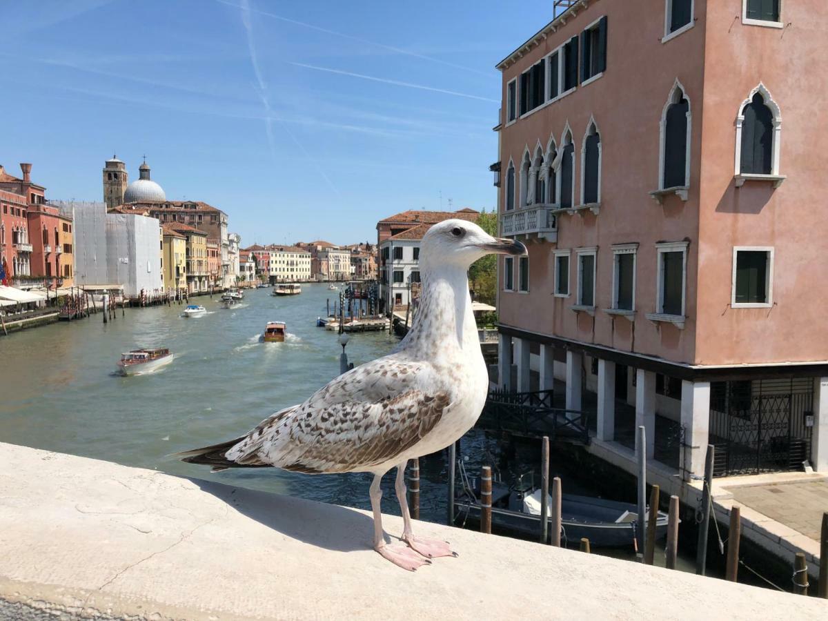 Rialto Regina Studium Apartment Venice